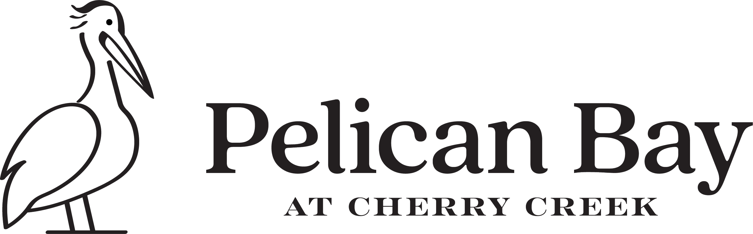 Pelican Bay Marina | Boat Slips & Rentals on Cherry Creek